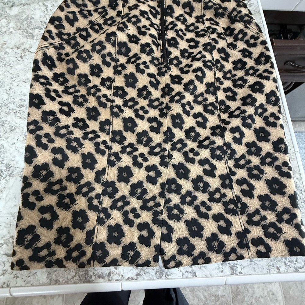 Ann Taylor skirt